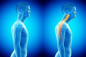 A cadaveric study using Thiel cadavers - A cadaveric study using Thiel cadavers