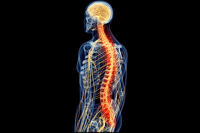 Why go to a Structural Correction Chiropractor? - Sunset Chiropractic ...